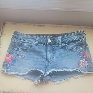 Express  Denim Shorts with Floral Embroidery